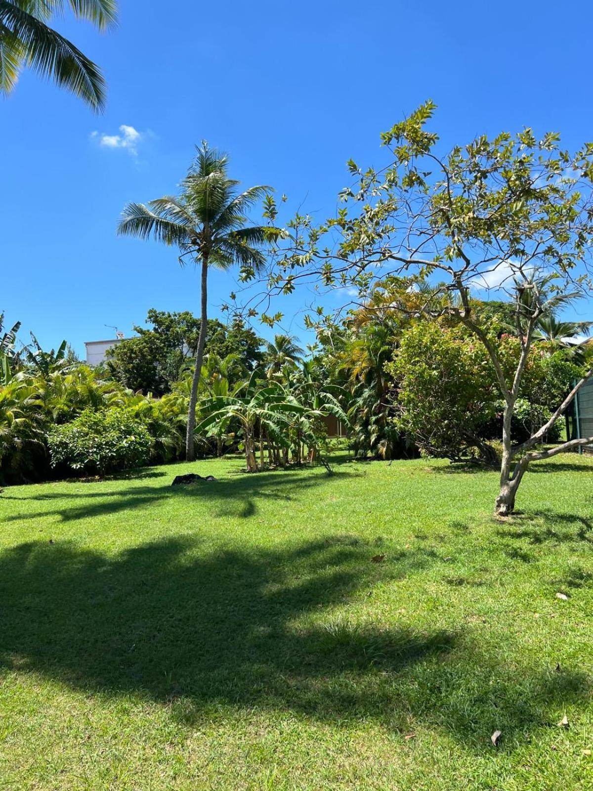 La Mussanda Avec Piscine Villa *