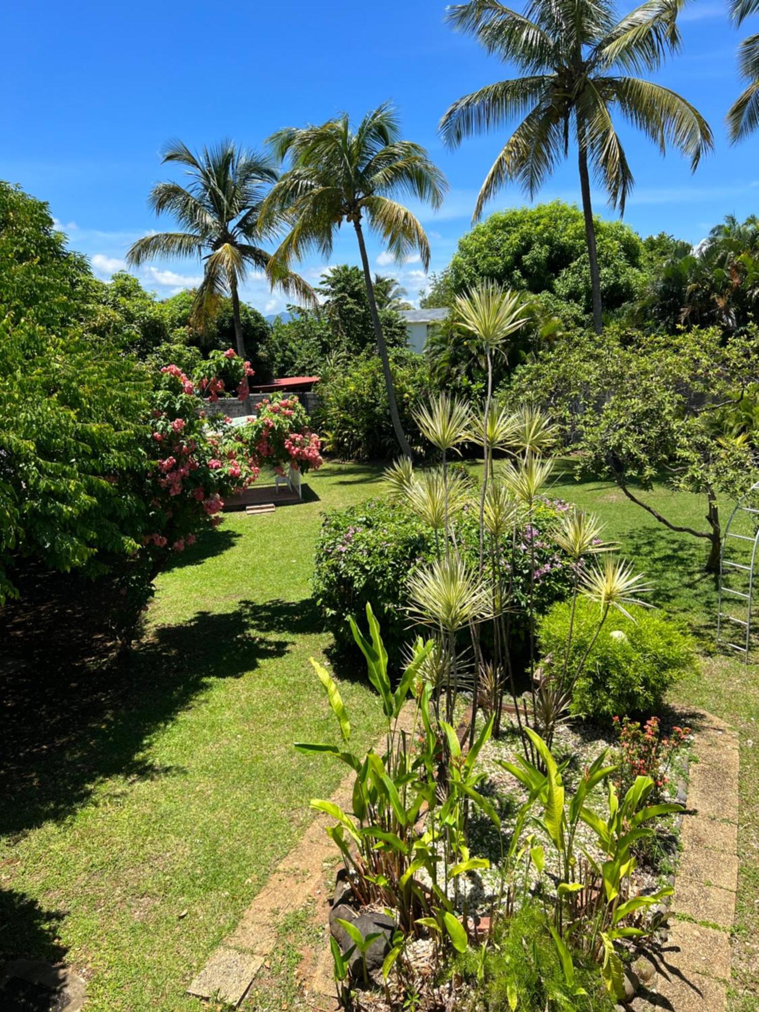 La Mussanda Avec Piscine Baie-Mahault